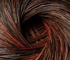 Unfurling, Detail, 2022 | Willow Sculpture | 11”H x 21”D x 21”W